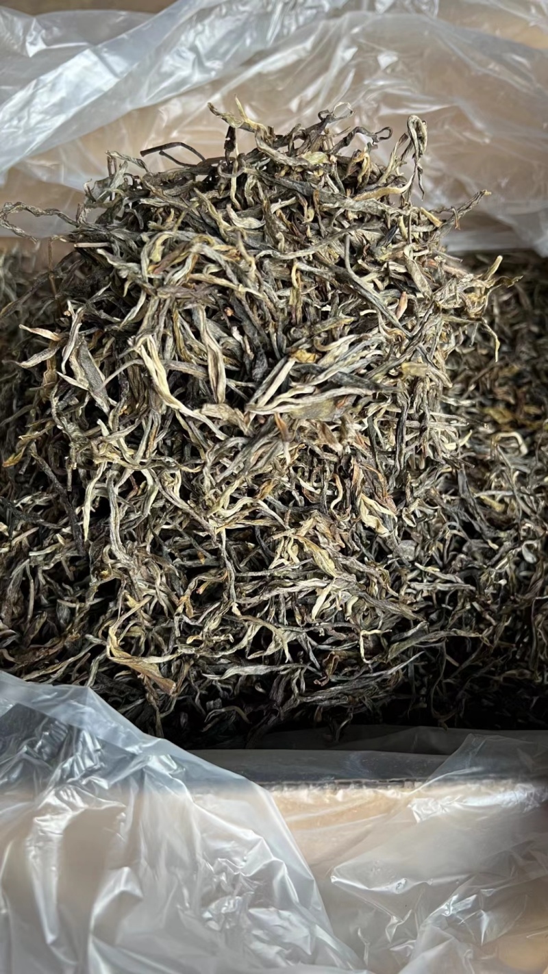 普洱茶批发:行业变化与趋势